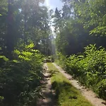 New Nomads Gasthof