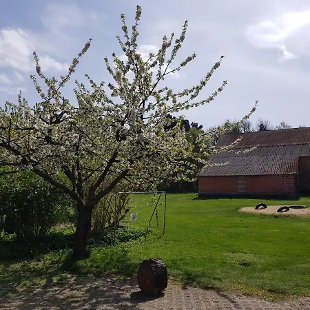 بيت ضيافة New Nomads