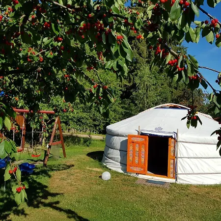 New Nomads Penzion 3*