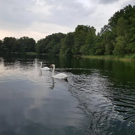 New Nomads بيت ضيافة