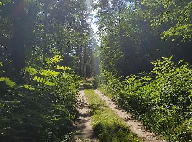 New Nomads Gæstehus