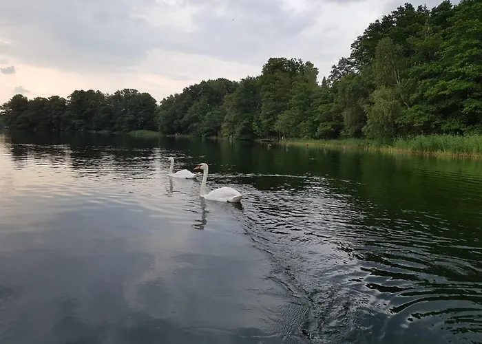 New Nomads Gæstehus